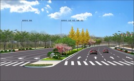 道路绿化