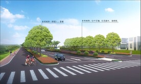道路绿化
