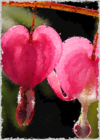 50X70厘数字油画装饰画素材