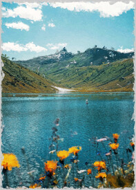 50X70厘数字油画装饰画素材