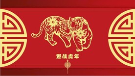 虎年活动策划方案PPT