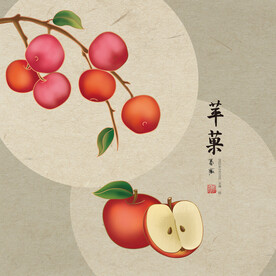 手绘水果