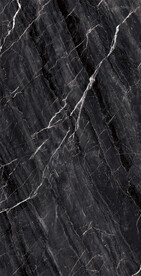 黑金花 金龙黑高清瓷砖设计