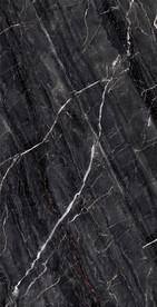 黑金花 金龙黑高清瓷砖设计