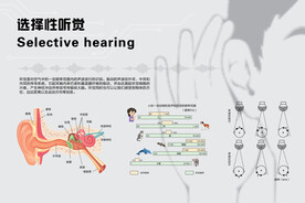 选择性听觉听力频率赫兹图文版