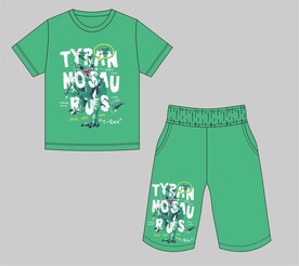 恐龙字母印花T恤裤子童装套装