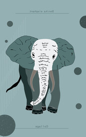 抽象画多妮卡安娜大象