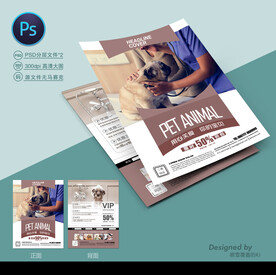 宠物美容宣传单
