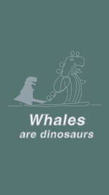 拔罐鲸鱼桌面手机壁纸深绿色