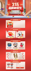 315家装活动