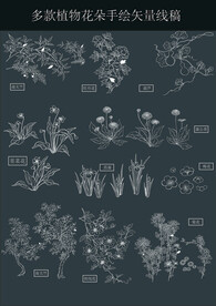 手绘植物花朵矢量线稿