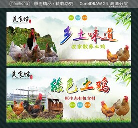 乡土味道 绿色土鸡