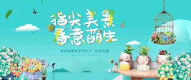 多肉种植活动图片