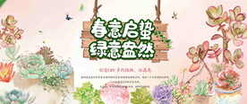 多肉活动图片