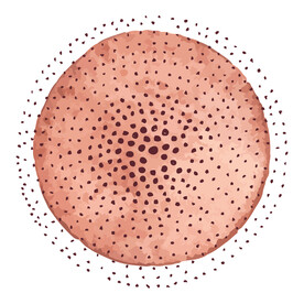 装饰画 圆形抽象画