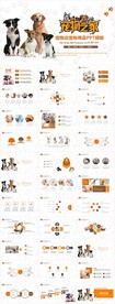 宠物狗宠物医院宠物食品PPT