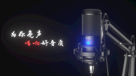 电容式麦克风话筒支架