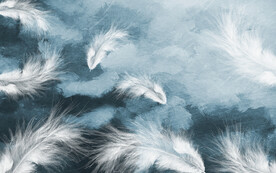 轻奢装饰画 羽毛