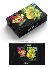 黄金贡柚包装