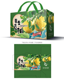 黄金贡柚包装