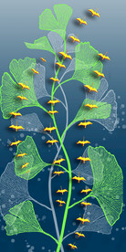 银杏叶子生财轻奢玄关