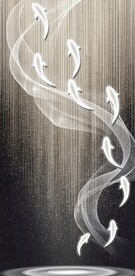 星空九鱼图玄关