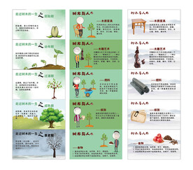 一棵树的旅行科普