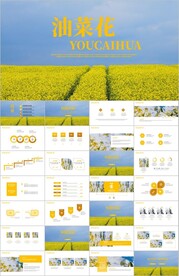 乡村旅游油菜花风景油菜花ppt