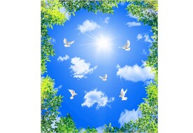 蓝天白云绿叶鸽子