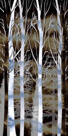 发财树森林玄关