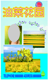 油菜花园