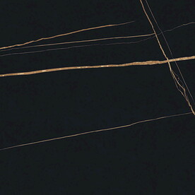 黑金花 金龙黑高清瓷砖设计