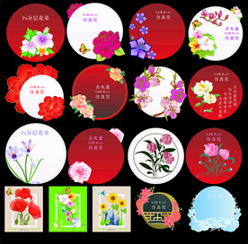 手绘花卉花朵矢量插画