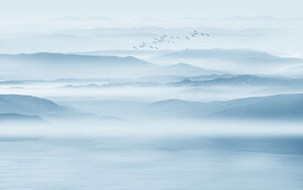 新中式电视背景墙