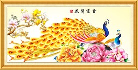 孔雀牡丹图