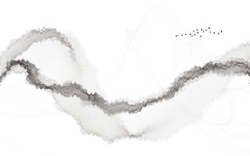 轻奢装饰画 抽象水墨线条弧线鸟