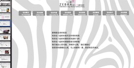 斑马派对策划案