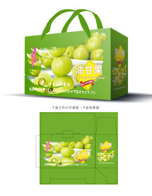 油甘果包装 