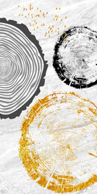 新中式现代金色年轮玄关