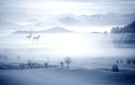 轻奢装饰画 新中式水墨山水画