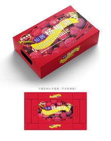 杨梅包装 