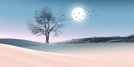 轻奢装饰画 树月亮 沙漠