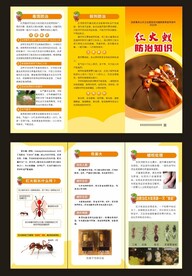 红火蚁防治知识