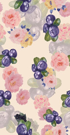 大牌 蓝莓 手绘花