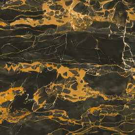 黑金花 金龙黑高清瓷砖设计