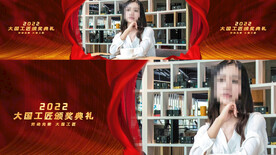 4K循环晚会年会颁奖人物视频框