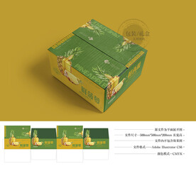 菠萝包装 平面图