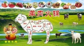 全羊宴 羊肉火锅