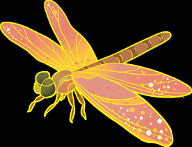 蜻蜓渐变中国风