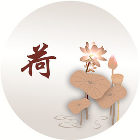 荷花 手绘 高清